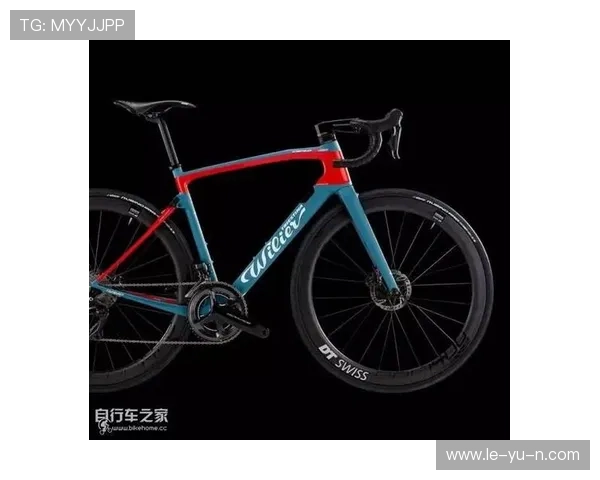 自行车冲刺成绩分析:提升速度与耐力的关键因素