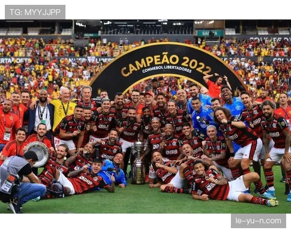 南美解放者杯最新赛况与球队表现分析