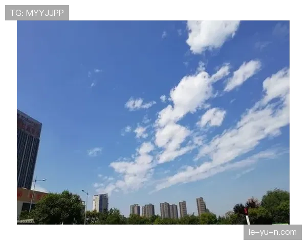 武大靖在小店结账的那一刻，隔壁桌的人都开始偷偷算今晚他花了多少